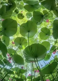 面对孩子的抑郁：
有时候治愈不需要惊天动地。当父母放下焦虑，蹲下来成为孩子情绪的容器；当加油变成我在，当别难过变成你愿意说说吗——那些卡在春天里的裂缝，终会被温柔的光慢慢填满。请不要忽视孩子的情绪，不要认为是孩子想得多，其实他们只是病了，就像感冒发烧一样……不过这个病的药物可能更多是倾听，理解和关爱！配图