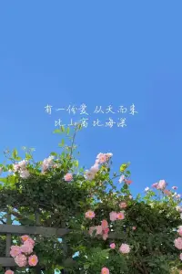 當情緒發生，我們要先察覺情緒背后的需求，對當下的情緒不是去控制，而是允許情緒的發生，去釋放當下的情緒，若情緒積壓太久，最終的失控只會更加可怕。

滿足情緒背后的心理需求，才能成為一個真正成熟的、會處理情緒的人。
?
?配圖