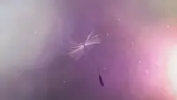 常见错误的情绪调节方式
第一种：压抑型
压抑情绪是把负面情绪都压在心底。很多人认为把坏情绪告诉别人会让别人不开心，于是选择独自承受。
这种情绪处理方式往往会经常出现情绪反刍的现象。夜深人静时，一个人把心里的痛苦反复品尝。
第二种：暴力型
你见过用暴力发泄情绪的人吗？
生气时和别人吵架，甚至动手打人，摔门砸东西。这么处理只会伤人伤己，尤其伤害身边的家人朋友，具有十足的破坏性。
第三种：抱怨型
把身边的人当做情绪垃圾桶，不停地倾倒自己的情绪垃圾。
我们提倡与值得信赖且愿意帮助自己的人倾诉，但倾诉≠倾倒，适当倾诉可以宣泄情绪，把情绪倾倒在别人身上本质是过于依赖他人的表现。
第四种：回避型
忽略负面情绪，避而不谈，假装忘记。但是负面的感受极力不想，真的可以做到吗？
第五种：错误归因
最常见的错误归因——“都是别人的问题”。他们惹怒了我，他们辜负了我，他们讨厌我......
给负面情绪找借口，归根到底是把改善情绪的责任扔出去。我们需要对自己的情绪负责，哪怕是负面情绪。
情绪不会消失，我们也无需做绝对“理性”的人。
情绪与个人成长经历、性格、价值观等多重因素有关，了解情绪的过程也是在了解自己，学会了情绪调节，我们会有更好的成长。配图