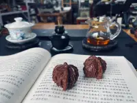 耐心是赚钱的美德！☕配图