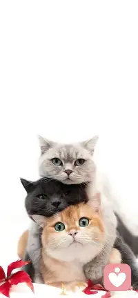 青春期孩子最明顯特征自我中心1、虛擬關眾；2、個人神話超人；3、假裝愚蠢；4、明顯偽善配圖