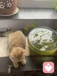 大部分的心境障碍都是过去未曾解决的问题在当下的投射，不仅给我们的正常生活带来很大的障碍，还会让我们困在这座“悲伤之城”消磨时光🍀配图