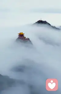 人生的本质就是一个人活着，不要对别人心存太多的期待。我们总是想要找到能为自己分担痛苦和悲伤的人。大多数时候我们那些惊天动地的伤痛，在别人眼里不过是随手拂过的尘埃。或许成年人的孤独就是悲喜自渡。而这也是我们难得的自由。生命中曾经有过的所有灿烂，终究都需要用寂寞来偿还，人的精神寄托可以是音乐，可以是书籍，可以是工作，可以是山川湖海，唯独不可以是人。