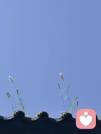 鸟儿有巢，蜘蛛有网，人类有友谊。
                 — 布莱克《天堂与地狱的婚姻》