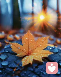 別帶朋友上路，要在路上找朋友，不要等遇到同路人再上路，先上路，自然會有同路人。