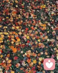 人本大師羅杰斯式共情的3個條件：
① 真誠
② 無條件接納
③ 準確共情，說出對方未言明的深層感受

“共情”和“安慰”的區(qū)別：
安慰是別難過，會好的，共情是痛就坐著，我陪著。  
關(guān)鍵不在語言，而在姿態(tài)：安慰想拉人出深淵，共情先走進深淵陪他。  

共情不是要他立刻振作，而是讓他知道痛苦里也有人在。