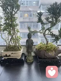 出現(xiàn)心理問(wèn)題的人往往來(lái)自不健康的家庭心理環(huán)境，當(dāng)家庭成員的關(guān)系處于無(wú)法改變也無(wú)法離開的狀態(tài)時(shí)，這個(gè)家庭就進(jìn)入了“雙重束縛”的狀態(tài)，在這種狀態(tài)下的成員，在其他家庭成員面前往往不知所措，進(jìn)退艱難，同時(shí)也跳不出這樣的關(guān)系。所以，家人之間不健康的人際關(guān)系一日不除，家中某一個(gè)人的癥狀便會(huì)繼續(xù)存在。他注定被留在那充滿矛盾的關(guān)系中，天天與不愉快為伍。配圖