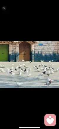 1.已成的事實(shí)，不聞不問(wèn)。
2.遠(yuǎn)不要試圖去改變除了自己之外的任何人。
3.金錢，可以解決99.99%的問(wèn)題。
4.永遠(yuǎn)不要對(duì)任何人抱有期待，包括你的父母。
5.內(nèi)心強(qiáng)大，不在乎別人說(shuō)什么，不要去因?yàn)閯e人的對(duì)你的看法而耿耿于懷。
6.讓你感覺不舒服的人或者事，該翻臉就翻臉。
7.自動(dòng)屏蔽任何消耗你正面情緒的人和事，都不多看一眼。
8.自己沒有認(rèn)知與實(shí)力，遇見再貴的貴人都是徒詩(shī)。
9.只做三件事，養(yǎng)好身體、提升認(rèn)知、瘋狂賺錢。配圖