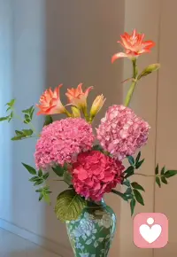 你只管盛開，蝴蝶愛來不來！