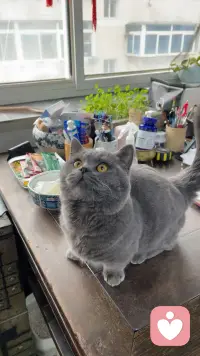 当你明白别人没有那么在乎你之后

你开始明白：父亲不爱我，我依然可以去爱我的伴侣；母亲不懂我，我依然可以温柔对我的孩子

别人有权拒绝我、冷落我；而我也有权不去迎合、不去讨好、不去勉强所谓的关系。

当你真正接纳这一点，你会发现：允许自己不被爱，是开始爱自己的第一步。

从此，接受生命里的一切明暗，把它们当成馈赠。

这就是对自己最深的成全。配图