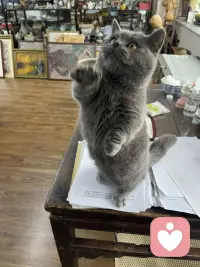 当你明白别人没有那么在乎你之后

你开始明白：父亲不爱我，我依然可以去爱我的伴侣；母亲不懂我，我依然可以温柔对我的孩子

别人有权拒绝我、冷落我；而我也有权不去迎合、不去讨好、不去勉强所谓的关系。

当你真正接纳这一点，你会发现：允许自己不被爱，是开始爱自己的第一步。

从此，接受生命里的一切明暗，把它们当成馈赠。

这就是对自己最深的成全。配图