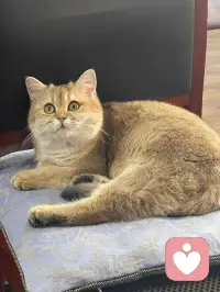 当你明白别人没有那么在乎你之后

你开始明白：父亲不爱我，我依然可以去爱我的伴侣；母亲不懂我，我依然可以温柔对我的孩子

别人有权拒绝我、冷落我；而我也有权不去迎合、不去讨好、不去勉强所谓的关系。

当你真正接纳这一点，你会发现：允许自己不被爱，是开始爱自己的第一步。

从此，接受生命里的一切明暗，把它们当成馈赠。

这就是对自己最深的成全。配图