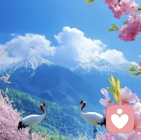 一个自卑的人进入亲密关系后，可能产生这样的感觉:你竟然看得上我这 样不好的人，证明你也不怎么样，这是关系上的“远交近攻”。增加自己的价值感，自然就会减少对那些爱自己的人的贬低。配图