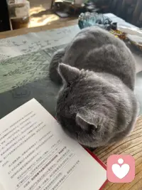 顶级真爱从来不是占有纠缠
而是渡你觉醒
做回辽阔真实的自己配图