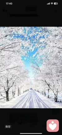 理清内心的杂念，才能让心灵腾出空间，容纳更多美好与成长。配图