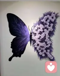 任何被你完全接纳的事情，都将会把你带入宁静的状态。配图