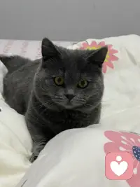 忌妒其实是深层自卑，一个心怀忌妒的人永远不会成为有用的人。配图