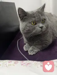 忌妒其实是深层自卑，一个心怀忌妒的人永远不会成为有用的人。配图