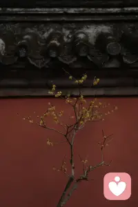 一个女人最好的底牌，不是聪明，不是学历，也不是外貌，而是骨子里的清醒、独立和自愈力。清醒能让女人避开人生的陷阱，做出更适合自己的选择。经济独立带来生活底气，精神独立则能守住内心的安宁。自愈力可以抚平情绪内耗，扛住生活里的风雨与委屈。外在优势会随时间褪色，内心的力量却能越磨越强。

女人这一生，靠人不如靠己，保持清醒、守住独立、学会自愈，才是最踏实的安全感。配图