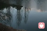 谁也夺不走，你选择的自由
命运可以夺走你的一切，
唯独夺不走你如何面对当下的自由。
你控制不了发生什么，但永远能控制：
怎么想、怎么回应、怎么活。配图