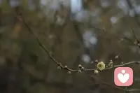 ✨你是否满腹委屈却不敢倾诉，怕被说脆弱、怕不被理解？我们都需要一个“情绪树洞”，它是你卸下盔甲、安放秘密的内心港湾。
🛎别再拖延着整理心情，别让心里的 “杂物” 越堆越多。来参与 #情绪坦白局，在这里放心、大胆展露真实情绪，在这里无需伪装，没有评判。
💌写下你无法言说的心事与感受，获得深度情绪释放。世界喧嚣，先接住自己的情绪，就是对自己最好的温柔。我们用心倾听，温柔拥抱每一个真实的你❣️配图