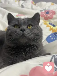 ✨你是否满腹委屈却不敢倾诉，怕被说脆弱、怕不被理解？我们都需要一个“情绪树洞”，它是你卸下盔甲、安放秘密的内心港湾。
🛎别再拖延着整理心情，别让心里的 “杂物” 越堆越多。来参与 #情绪坦白局，在这里放心、大胆展露真实情绪，在这里无需伪装，没有评判。
💌写下你无法言说的心事与感受，获得深度情绪释放。世界喧嚣，先接住自己的情绪，就是对自己最好的温柔。我们用心倾听，温柔拥抱每一个真实的你❣️配图