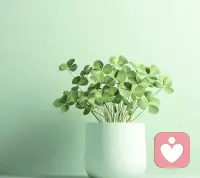 “我理解你现在的感受” —— 有时，这句话比任何建议都更能触及人心。配图