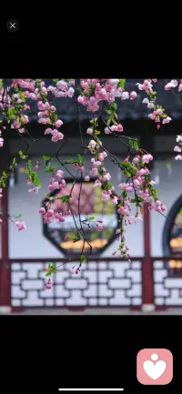 • 情感表达和释放的重要性。在面对心理压力和情感困扰时，勇于表达自己的感受和想法，将内心的压抑情感释放出来，有助于缓解心理压力，改善心理状况。
• 为自己争取权益。在面对不公平的待遇时，要学会为自己争取权益，表达自己的需求和期望，而不是默默忍受。这有助于建立自信，更好地面对生活挑战。
• 关注心理健康。心理健康非常重要，不亚于身体健康。在面对心理压力和困扰时，应及时寻求专业的心理帮助，从而更好地解决问题，恢复心理健康。配图