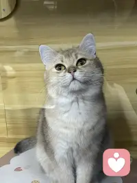 接纳自己是第一个层次，再往上是爱自己，再往上是欣赏自己，再往上是庆祝生命。我们要学会庆祝生命，为每一天的自己而庆祝。配图