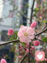 每个人都有压力，不要碰到一点压力，就把自己想象成不堪重负的样子。也不要碰到一点不确定性，就把前途描摹得黯淡无光，更不要碰到点不开心，就认为全世界都是最黑暗的。
心情不好的时候，问自己一个问题：镜子很脏的时候，你并不会以为是自己脸脏，那为什么别人说出糟糕的话的时候，你就要觉得糟糕的是自己呢？
外界的声音只是参考，不喜欢就不要参考。配图