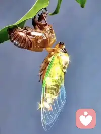  让你痛苦不堪的，不是已经发生的过往，而是你一次次回头、不肯与过去和解的固执。配图