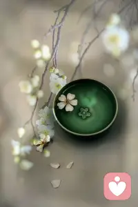 人，一定要学会“顺应”

人生 95% 的烦恼，都来自于妄图去控制无法控制的事。你再真心，也改变不了人趋利避害的本性，善是人性，恶也是，接纳人性的善，也要接纳人性的恶。你再努力，时运不济，也是枉然，成败并非只系于努力，更归咎于，时也，命也，运也。

路走不通，是上天在提醒你另辟蹊径，换条路，重新走就是；人不值得交，是命运在为你筛选正缘，人多的是，这个不行，换下一个。人不要活得那么拧巴，豁达淡然一点，所有事，存在即合理，有白就有黑，有对就有错，不要太执着改变任何人和物，知其不可奈何而安之若命，大通透也。

顺应并非放弃，更不是无底线的破罐子破摔，而是尽人事，听天命，该努力的时候，还是要努力，总要拼一把，看看自己能活到怎样的极致。万般努力后，仍没有回报，也无需死磕，人要学会“换一个”的智慧，不与人性对抗，不跟天意较劲，顺势而为，才是通往幸福的最短路径。