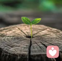 不是发生在我们身上的事伤害了我们，而是我们对这些事的反应伤害了我们。船不会因为周围的水沉没，只有水进了船舱才会沉。不要让别人的嘲讽、环境的恶意，进入你的内心，把你压垮。