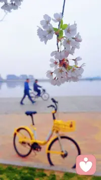 人们常常把抑郁症想得突兀，好像它是一场突然降临的灾难，一夜之间把人从生活的正轨拖入深渊。但真实的抑郁，并不是这样张牙舞爪的袭击，而是以一种极其隐秘的方式生长。它像阴雨天悄然渗入的湿气，润物无声，却让整个房间渐渐变得阴冷。大多数人的抑郁症，其实都是从一些微小、琐碎，却又长期积累的瞬间开始的。只是我们习惯性地忽视，直到它攒够了力量，才在某一天彻底压垮人心。那些看似“没什么大不了”的小问题——睡不好、心情常低落、感到孤独、经常疲惫——恰恰是抑郁最危险的前奏。配图