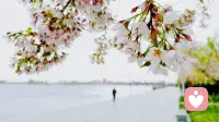 我们要先了解自己，意识到我们内心上演的种种无意识的戏剧，然后有能力从自己或他人的戏剧中走出来。配图