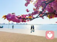 为什么吃饭也是一种精神疗愈？

在心理咨询领域，有一种治疗方法叫烹饪艺术疗法（又称厨房疗法），它认为：做饭能帮人把注意力拉回到“照顾自己”这件事上，是一种温和且易操作的自我关怀方式。

而从客体关系心理学的角度看，你怎么对自己，常常藏着小时候被照顾的影子。

所以，做饭，就是重新学习照顾自己的开始。配图