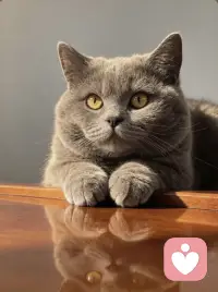伴侣咨询个案：九成无效争吵。只要问一个问题就能终止：
下次跟伴侣开口前，先花三十秒想清楚，你这次到底要什么。是要他共情你的委屈，还是一起解决具体问题，是要明确边界，还是确认他还爱你。千万别几个目标混着来，他根本接不住你。想清楚就直接说出来，别猜来猜去内耗。精准表达需求，才是亲密关系沟通的起点。
如果还有细致化问题，欢迎找我聊。配图