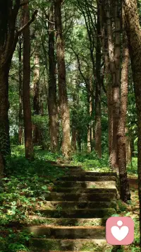 人如植物，枯荣有时。不必永远鲜活绽放，允许偶尔枯萎，而后长出新芽。配图