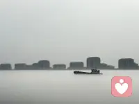 关于心理咨询收费问题，很多人不能很好的理解和支持，看到“收费”就放弃了心理咨询，宁愿在自己的心灵之牢里倍受碾磨，继续忍受痛苦。
一次不付费的心理咨询，求助者是不大可能重视心理咨询师的协助的，也未必真的想付出努力去改变自己目前的心理状况。弗洛伊德认为不收费的心理咨询（治疗），对来访者的疗愈无益。所以，心理咨询的收费是通过求助者适当的经济付出，使其看重和珍惜咨询过程，是尊重自己也是尊重咨询师辛勤劳动的表现。配图