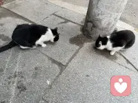 学会看见自己的情绪、稳住自己的情绪，是成年人最重要的涵养，也是对家庭最大的负责。
很多人不是不爱家人，而是情绪来了，控制不住。想要好好爱孩子、爱家人，第一步，从来不是改变别人，而是看见自己。配图