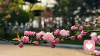 会撒娇的女人，懂得低头示弱，让男人有被需要的感觉。太过要强的女人，把一切扛在肩上，活成了独挡一面的大人，却忘了感情里，软一点才更有温度。配图