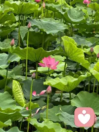尊重自己的低谷期，坚持过去就会越来越好