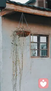 爱的反面不是恨，是“你对我很好，但你从来看不见我”。