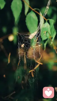 顶级处世智慧
1.免费帮助别人，就是在慢慢培养仇人，等价交换，才是社会交际的长久之道！
2.最高级的拿捏是不在意，你在意了谁的想法你就成为了谁的奴隶。
3. 最顶级的能力，就是屏蔽力，任何人消耗你的人和事，多看一眼，都是你的不对！
4.记住永远都不要愤怒，愤怒会降低你的智慧，真正的高手，笑里藏刀，会说软话，杀伐果断，绝不愤怒。
5.猛兽总是独行的，牛羊才成群结队，人一旦悟透了，就会变得沉默，不是没有与人相处的能力，而是没有了逢场作戏的兴趣！
6. 当事实对你有利，就强调事实，当规则对你有利，就强调规则，当事实和规则都对你不利，就保持沉默、静观其变。