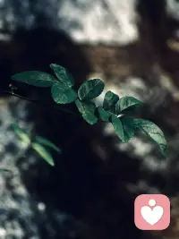 真正的默契是两颗心灵彼此照亮。
不盲目认同，也不轻易否定。
在交流中不断拓宽彼此的认知边界。配图