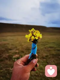 每一个人都要有积极乐观的心态配图