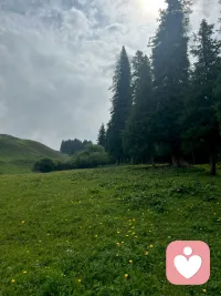 因为孤独，我们在这里相聚。愿您放心执念，打开心扉，拥抱大自然拥抱自己，做最好的自己，去想去的地方，做自己最想做的事。