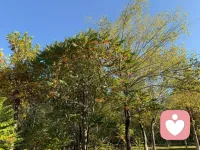 因为孤独，我们在这里相聚。愿您放心执念，打开心扉，拥抱大自然拥抱自己，做最好的自己，去想去的地方，做自己最想做的事。