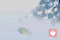 人只有知道自己無知后
    才能從骨子里謙和起來
不再恃才傲物，不再咄咄逼人
    所以說人總是越活越平和
         我們稱之為【成長】配圖