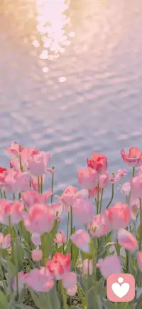 你沒有理由消耗自己去成全別人
關(guān)系不是為了取悅他人
更是為了滋養(yǎng)自己
想要真正的扭轉(zhuǎn)，就需要從內(nèi)而外的調(diào)整配圖